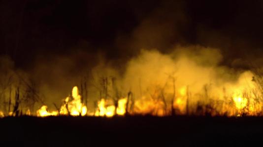 半夜在田里烧稻草和干草在野火中发出模糊的碎片视频的预览图