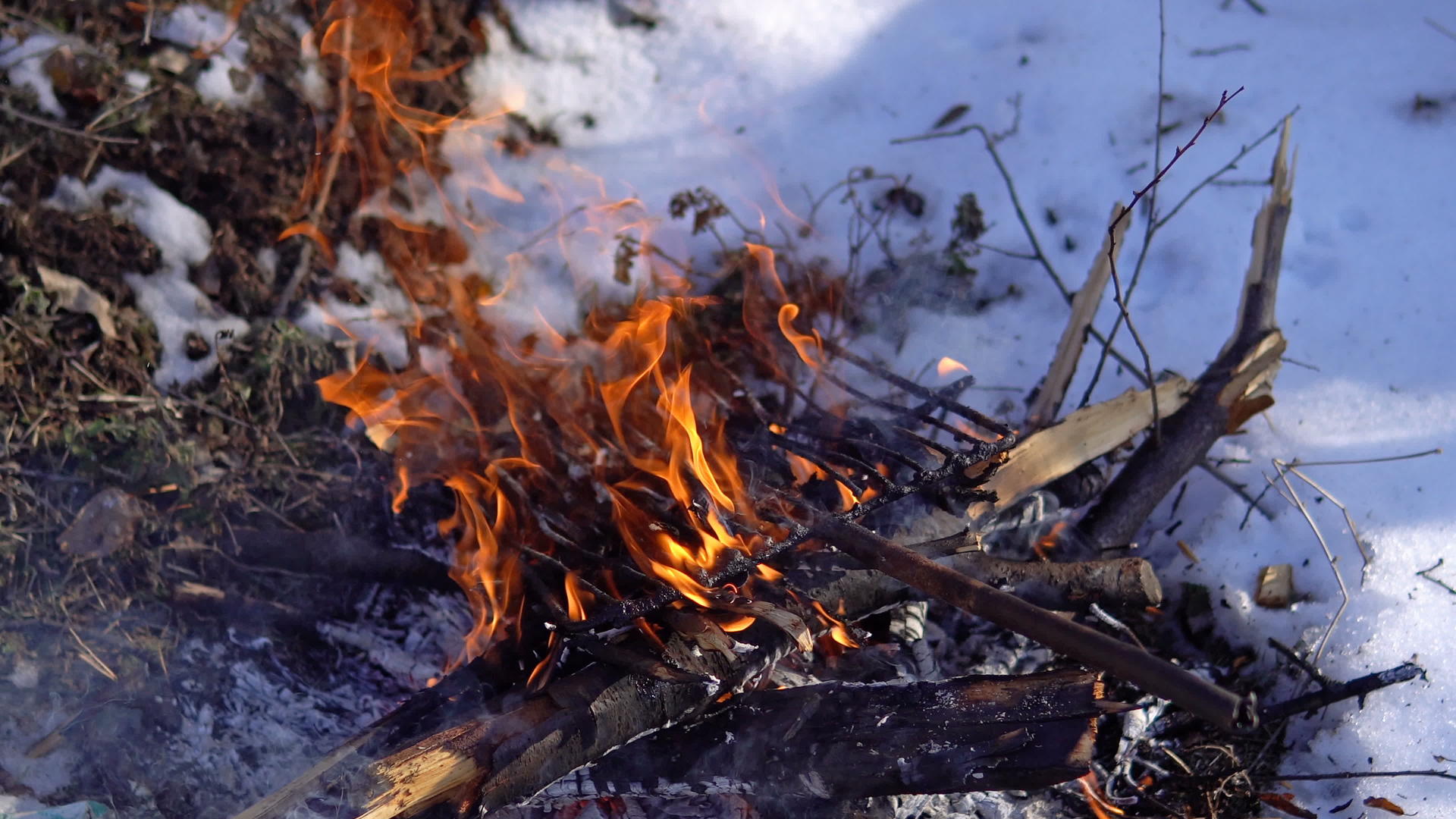 失落的冰冻游客试图在寒冷的冬季森林中纵火视频的预览图