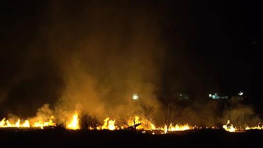 夜间山上的野火将摧毁所有的气候变化视频的预览图