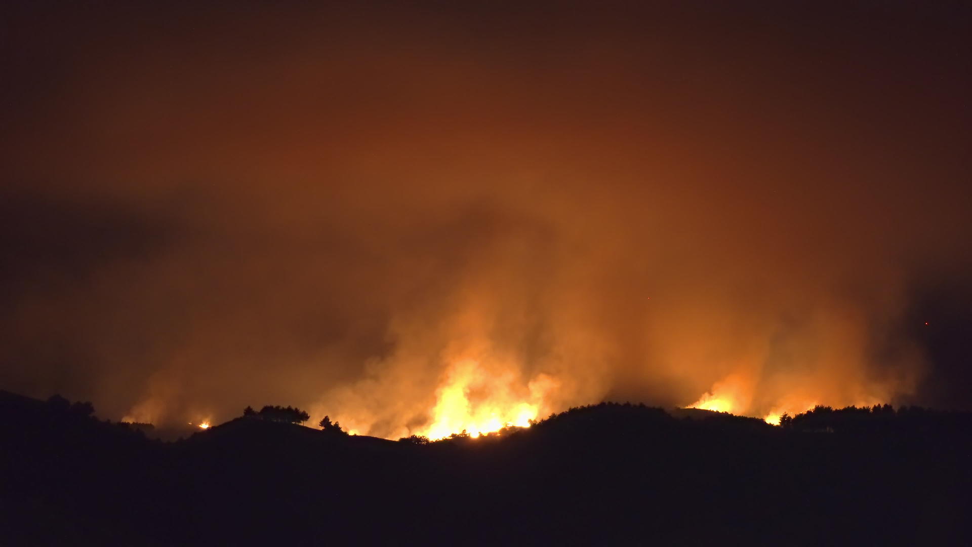 在山上烧毁森林树木的火柴烧毁了山上的森林树木视频的预览图
