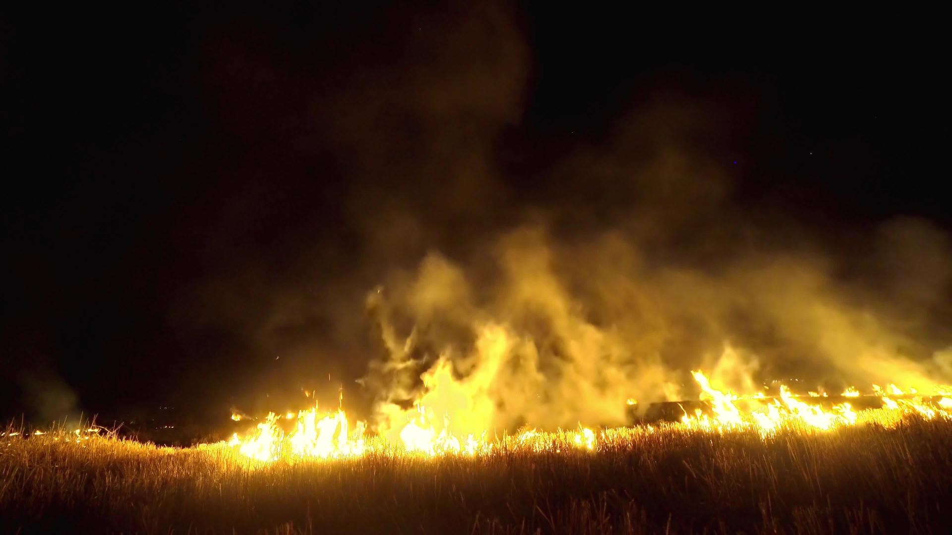 夜间森林野火被火焰和黑烟覆盖视频的预览图