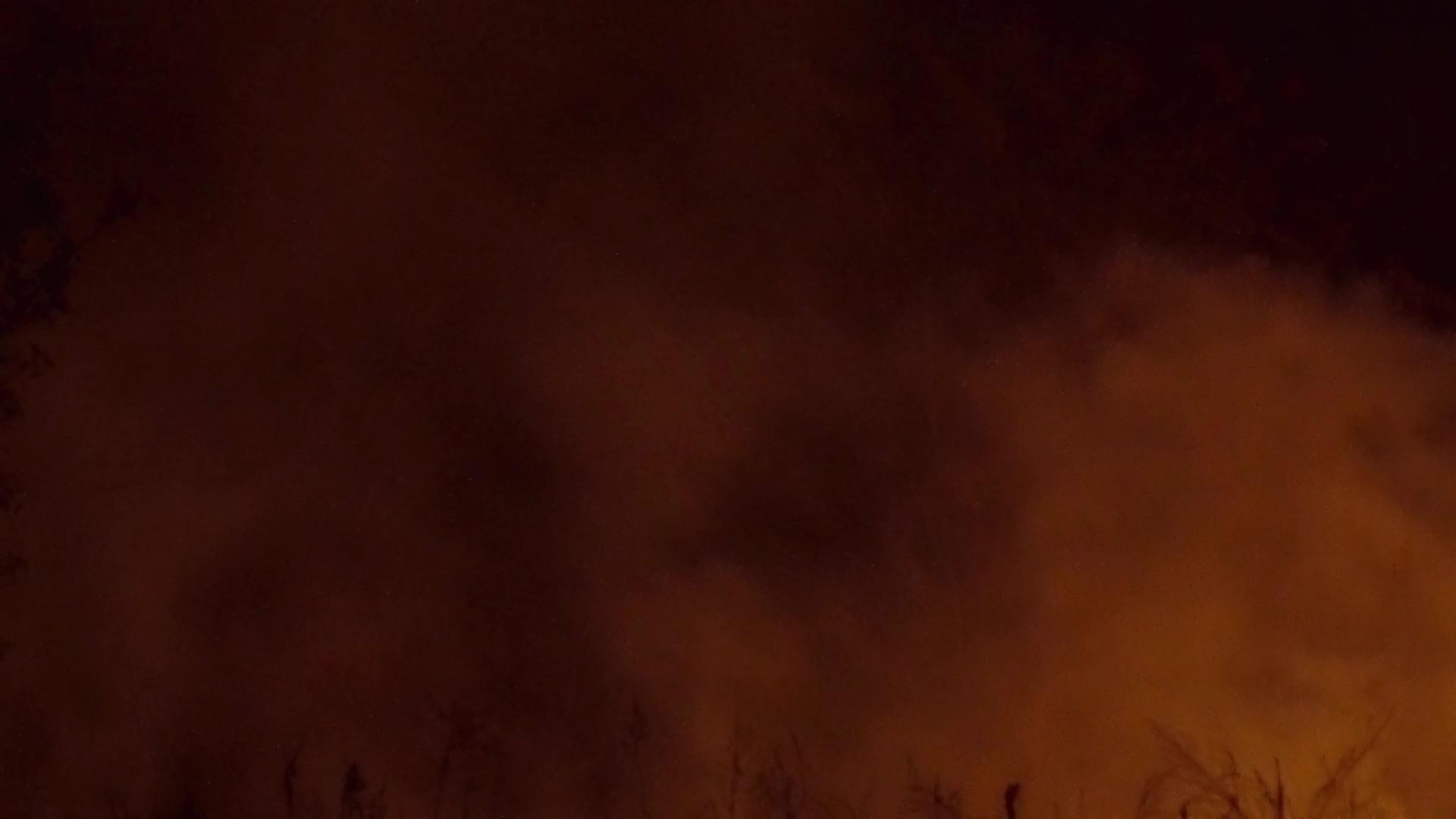 当它们肆虐松树林和鼠尾草时森林大火引起的强烈火焰视频的预览图