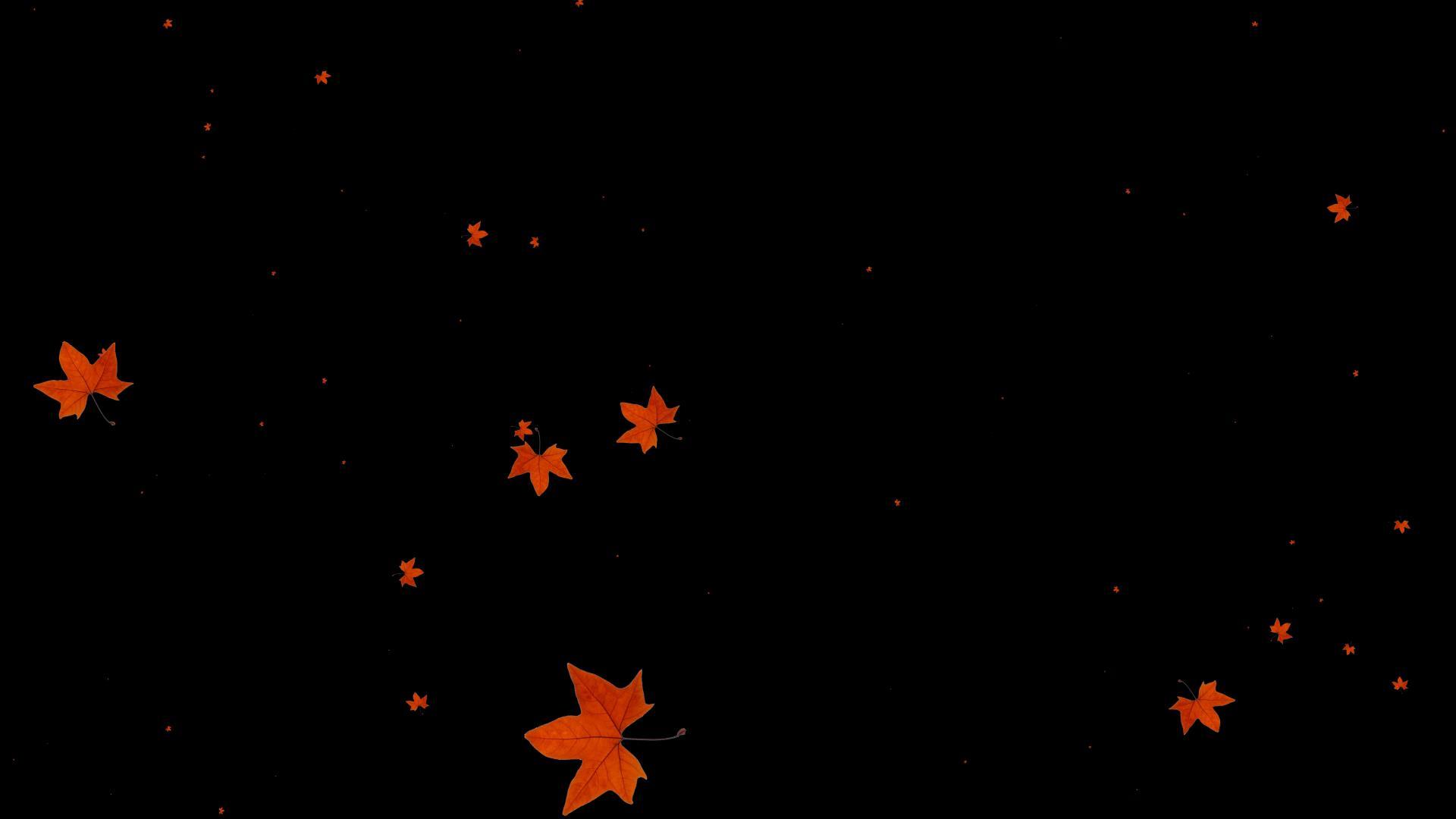 叶子冲屏动画视频的预览图