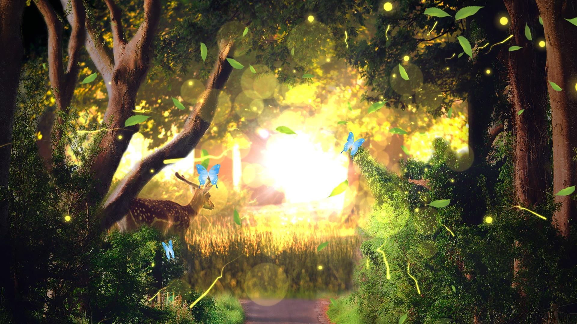 动态安静森林树林光效粒子背景视频元素视频的预览图