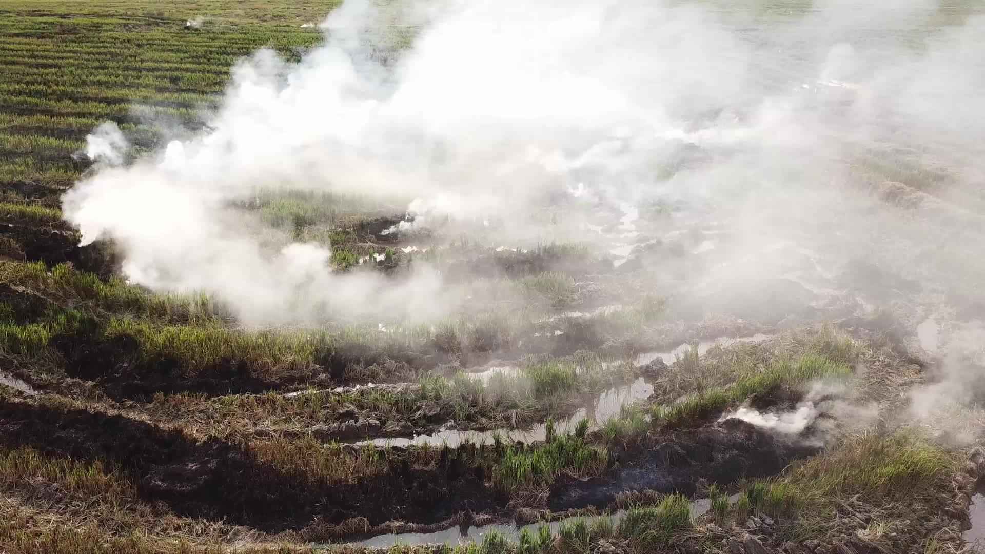 露天稻田燃烧时释放的白色烟雾量视频的预览图
