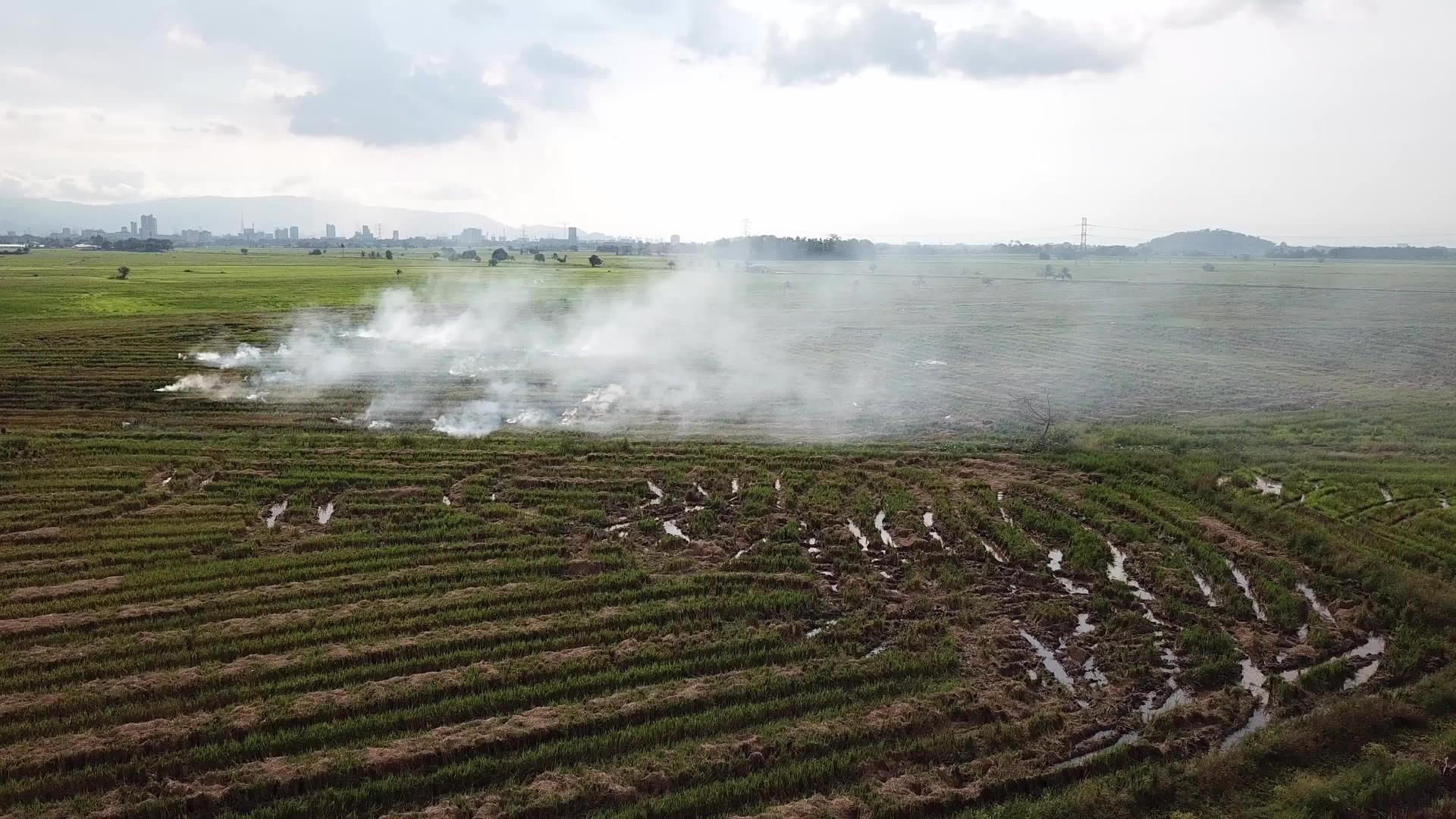 在马雷村露天燃烧的稻田上飞翔视频的预览图