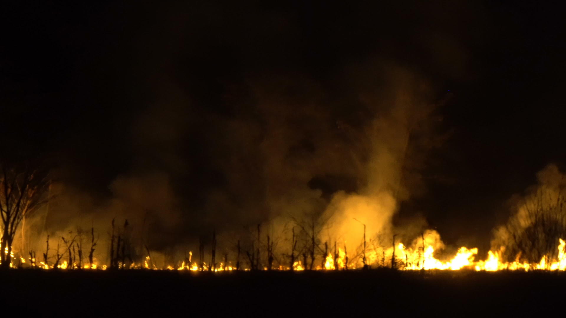 森林火灾是由气候变化引起的视频的预览图