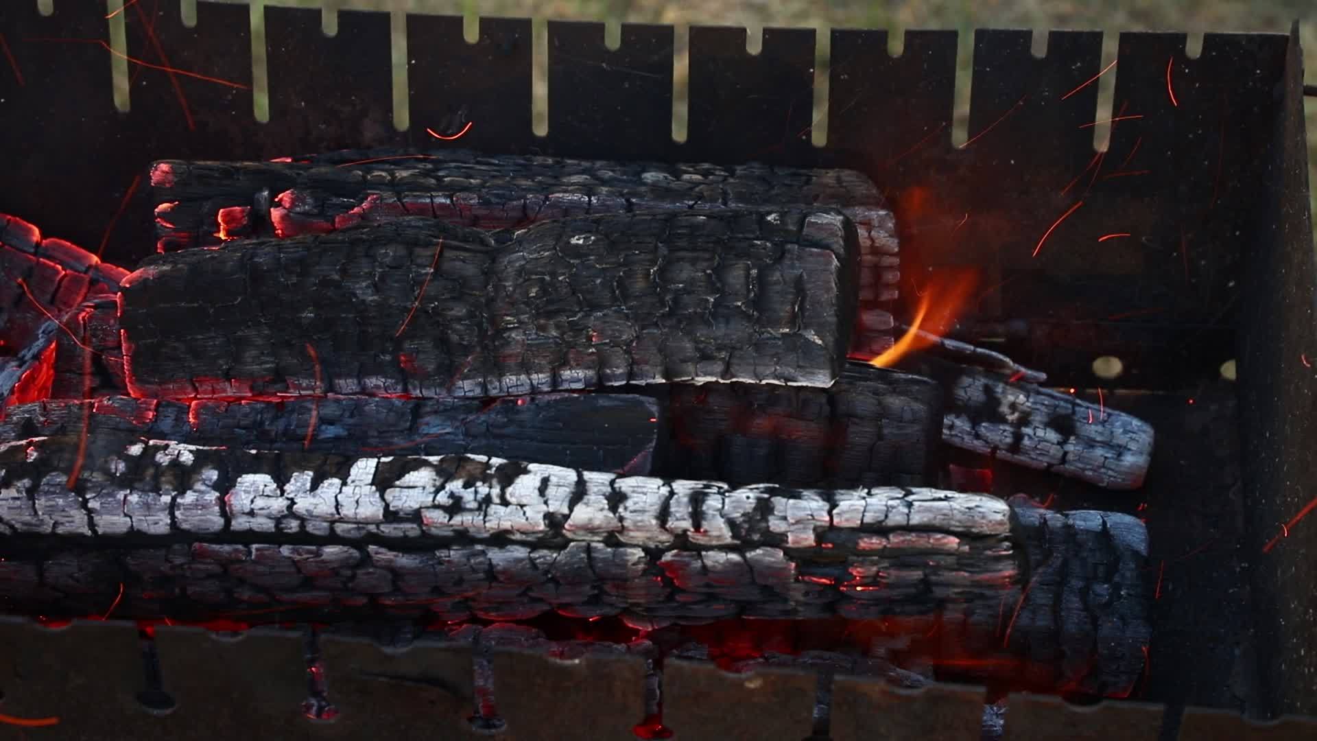 壁炉中的柴火火焰视频的预览图