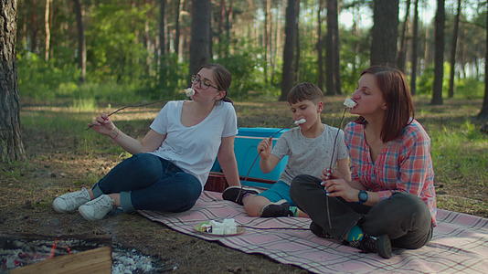 两个女人和两个男孩在棍子上吃棉花糖视频的预览图