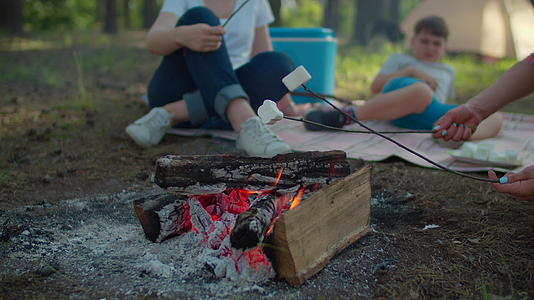 两名妇女和两名男孩在森林中度过夏季野餐射击稳定视频的预览图