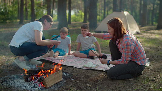 两个母亲和两个儿子在火上煮棉花糖的幸福家庭视频的预览图