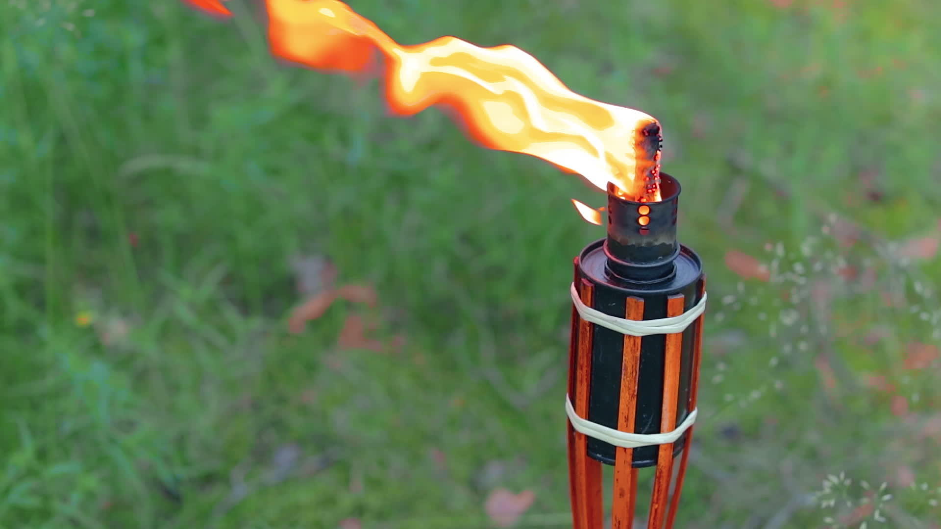燃烧的液体燃料视频的预览图