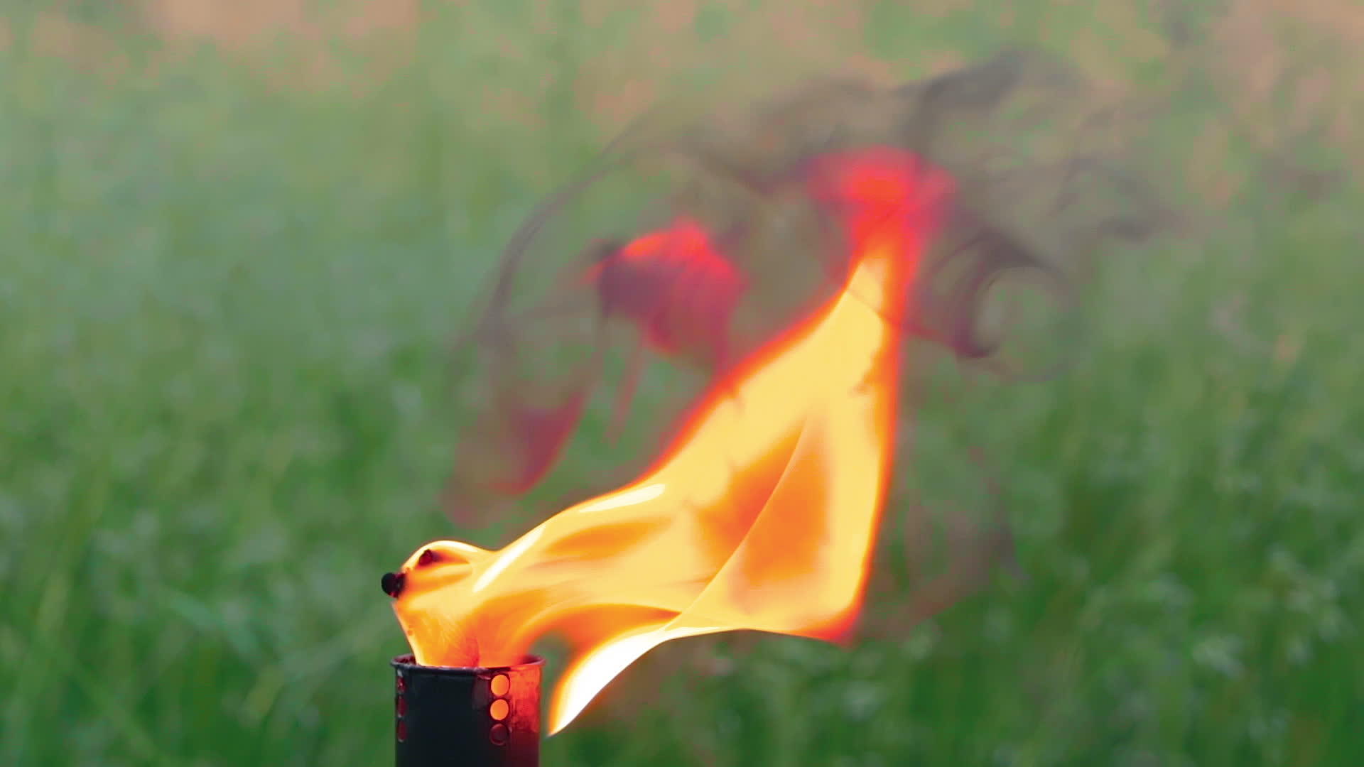竹火炬燃料在森林中燃烧视频的预览图