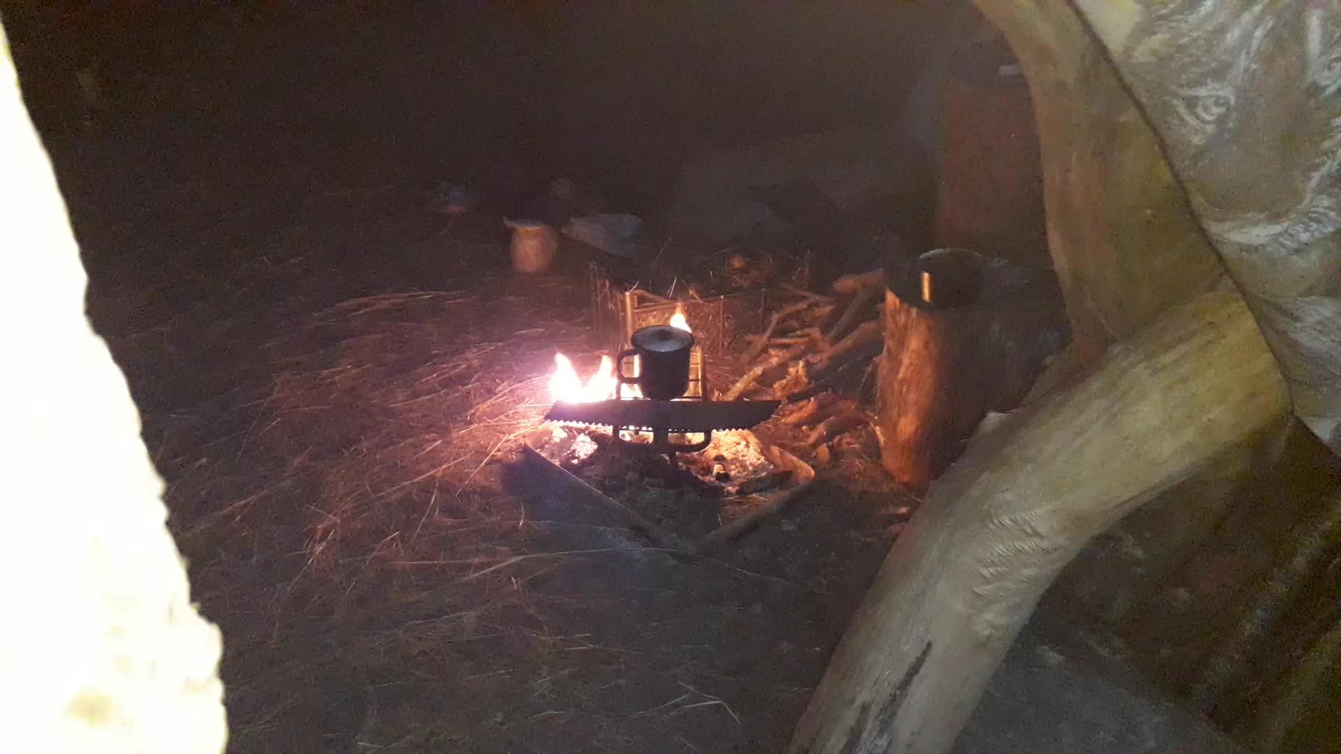 茶是由森林帐篷着火而酿造的视频的预览图
