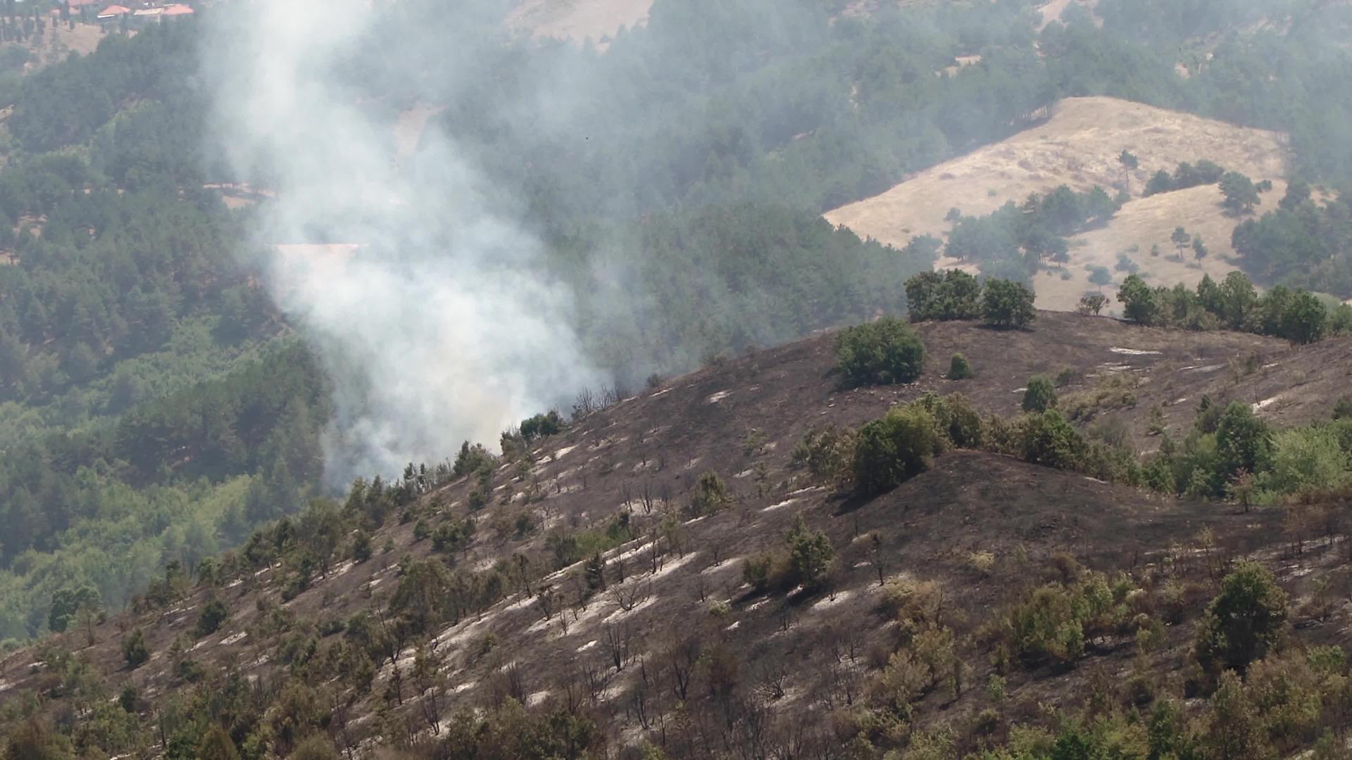 山林点火产生的烟雾视频的预览图