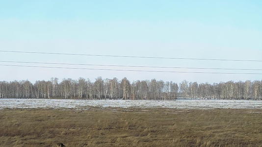 春天的西伯利亚风景视频的预览图
