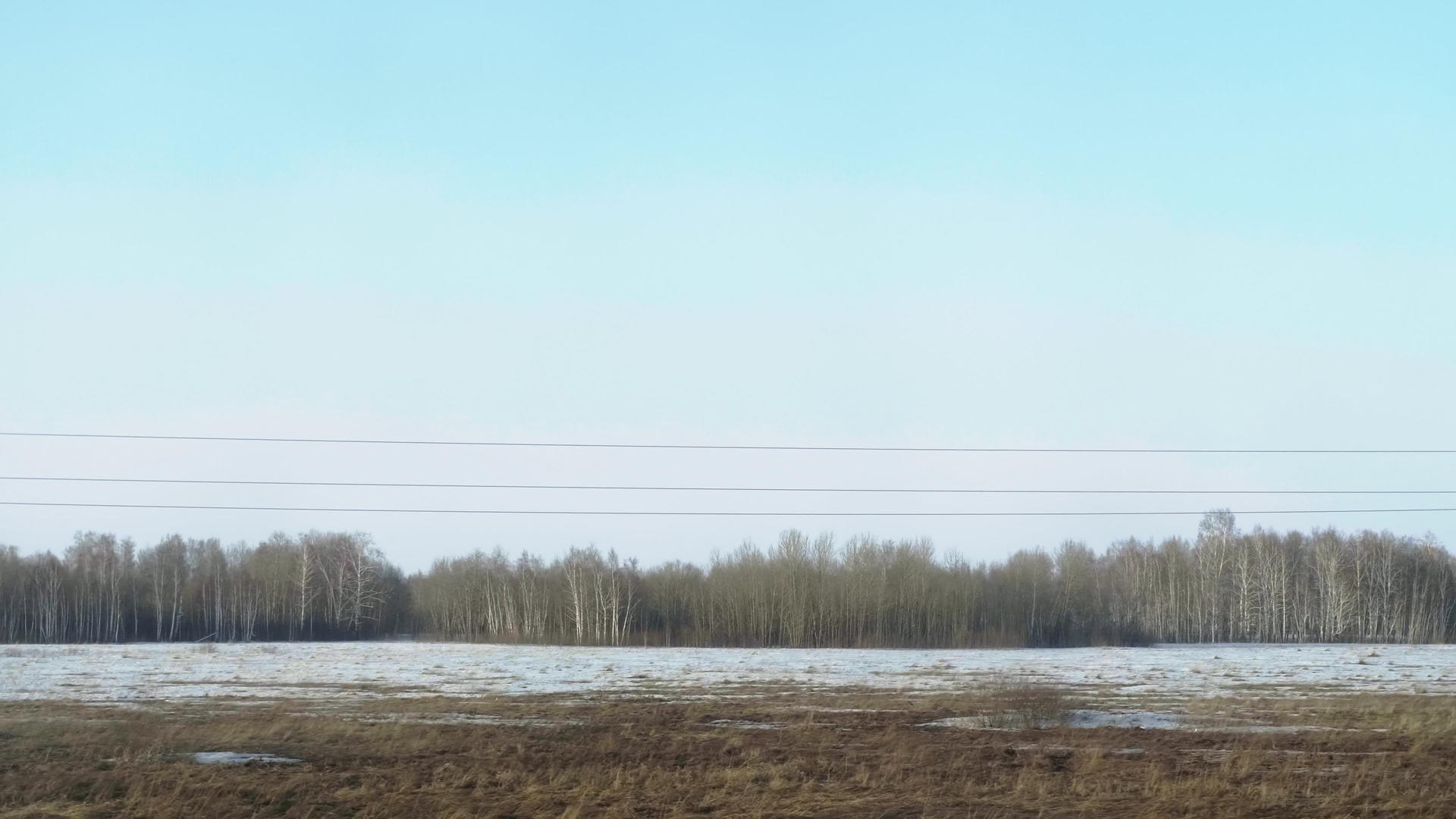 春天的西伯利亚风景视频的预览图