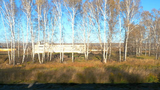 西伯利亚秋景视频的预览图