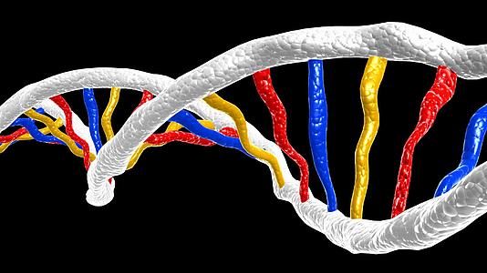 染色体DNA元素视频的预览图