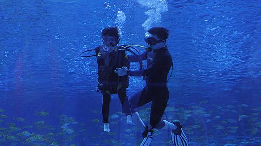 海洋馆中潜水员带小朋友潜水视频的预览图
