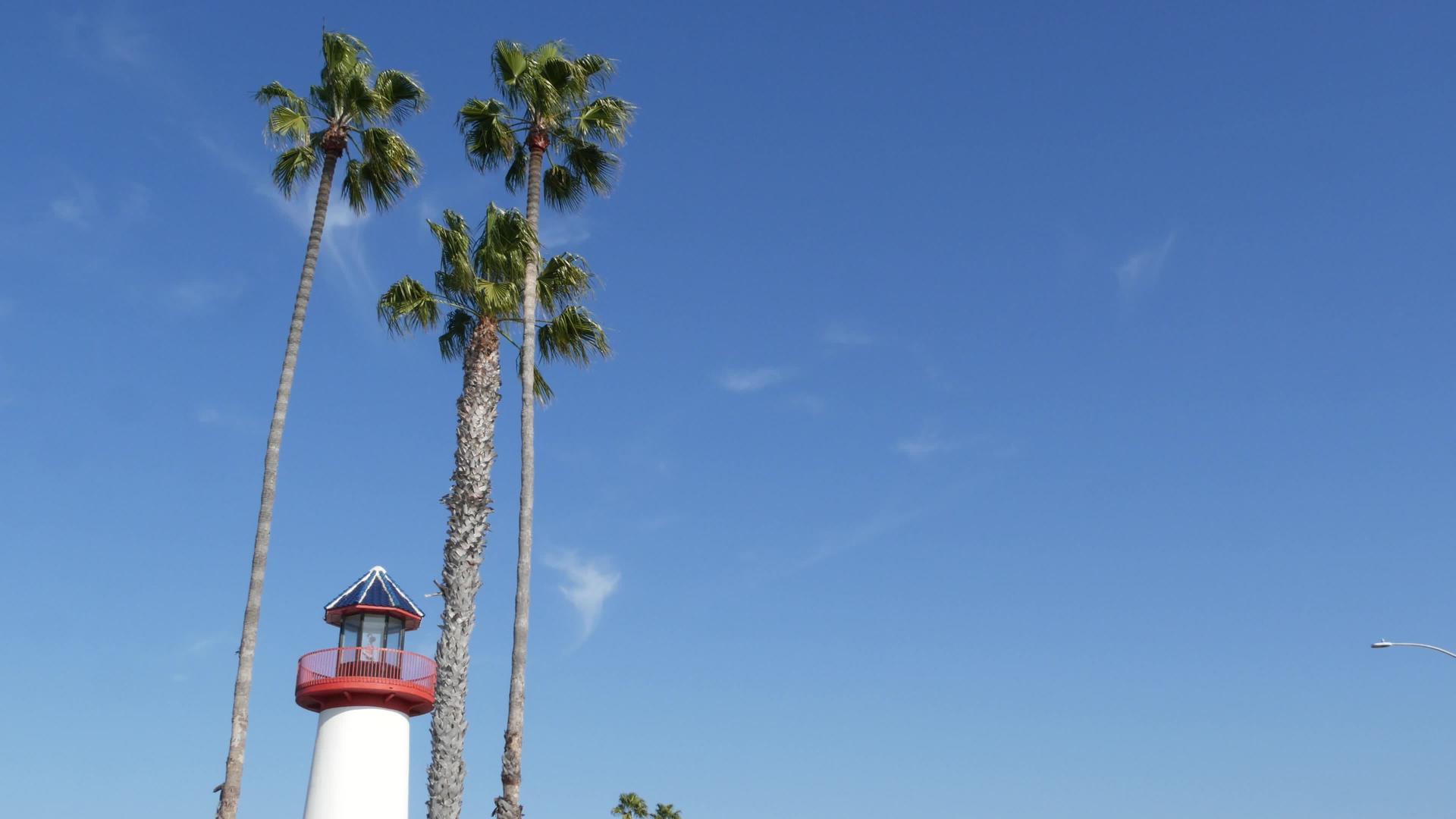 灯塔棕榈树和蓝天红白信标滨水港村视频的预览图