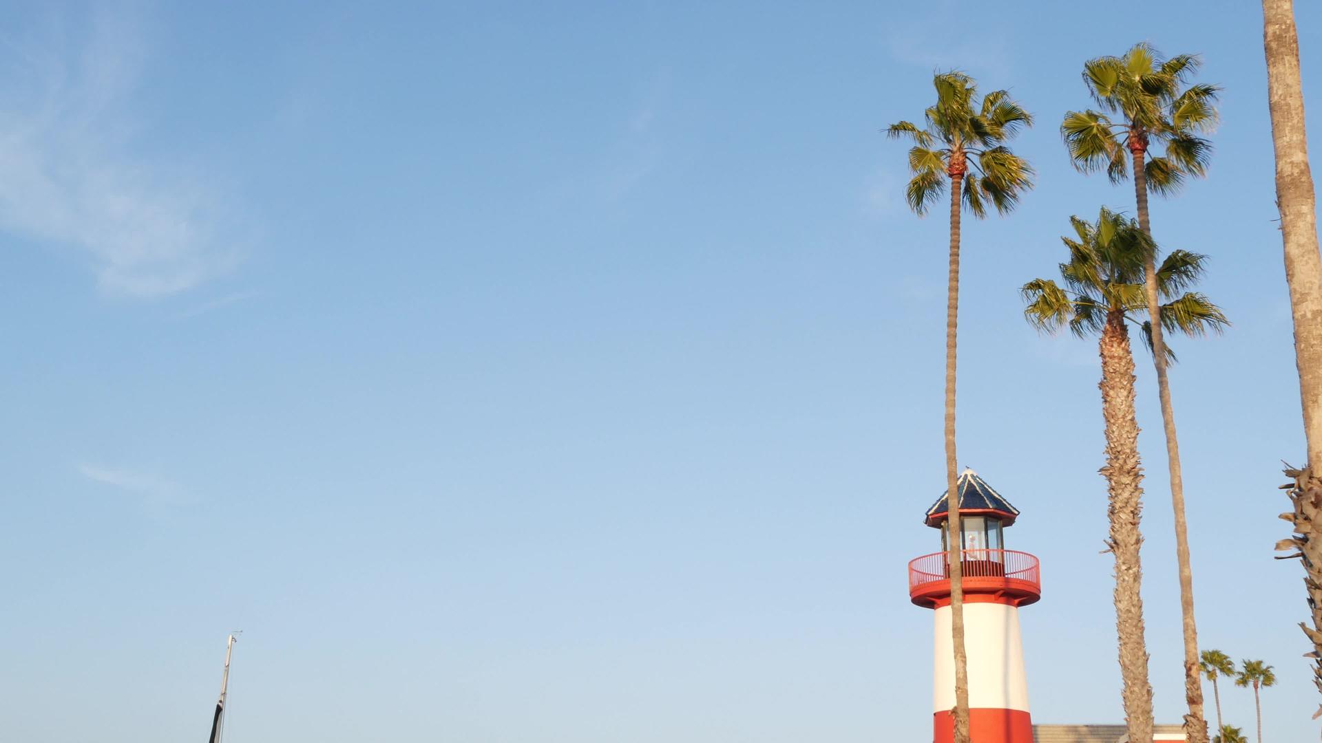 灯塔棕榈树和蓝天红白信标滨水港村视频的预览图
