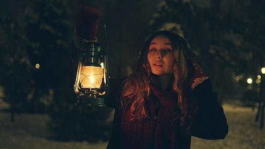 冬天森林里年轻女孩的灯笼视频的预览图