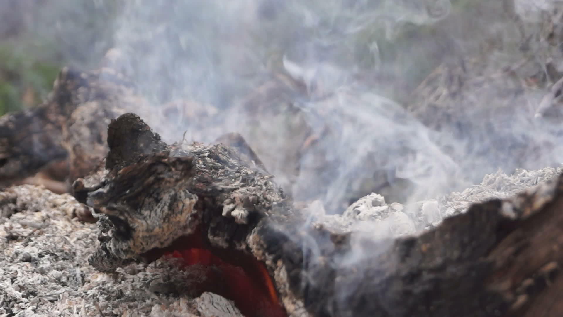 燃烧立木2视频的预览图