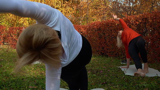 秋季公园健身运动期间穿运动服的柔体女性视频的预览图