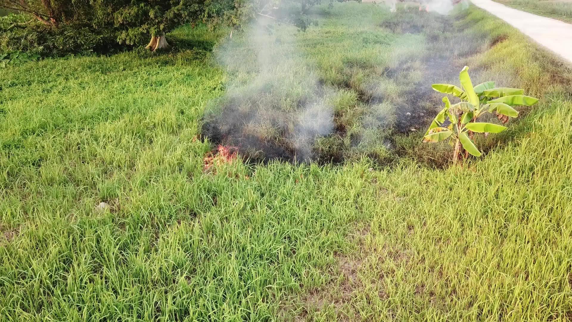 火焰和火焰燃烧的烟雾视频的预览图