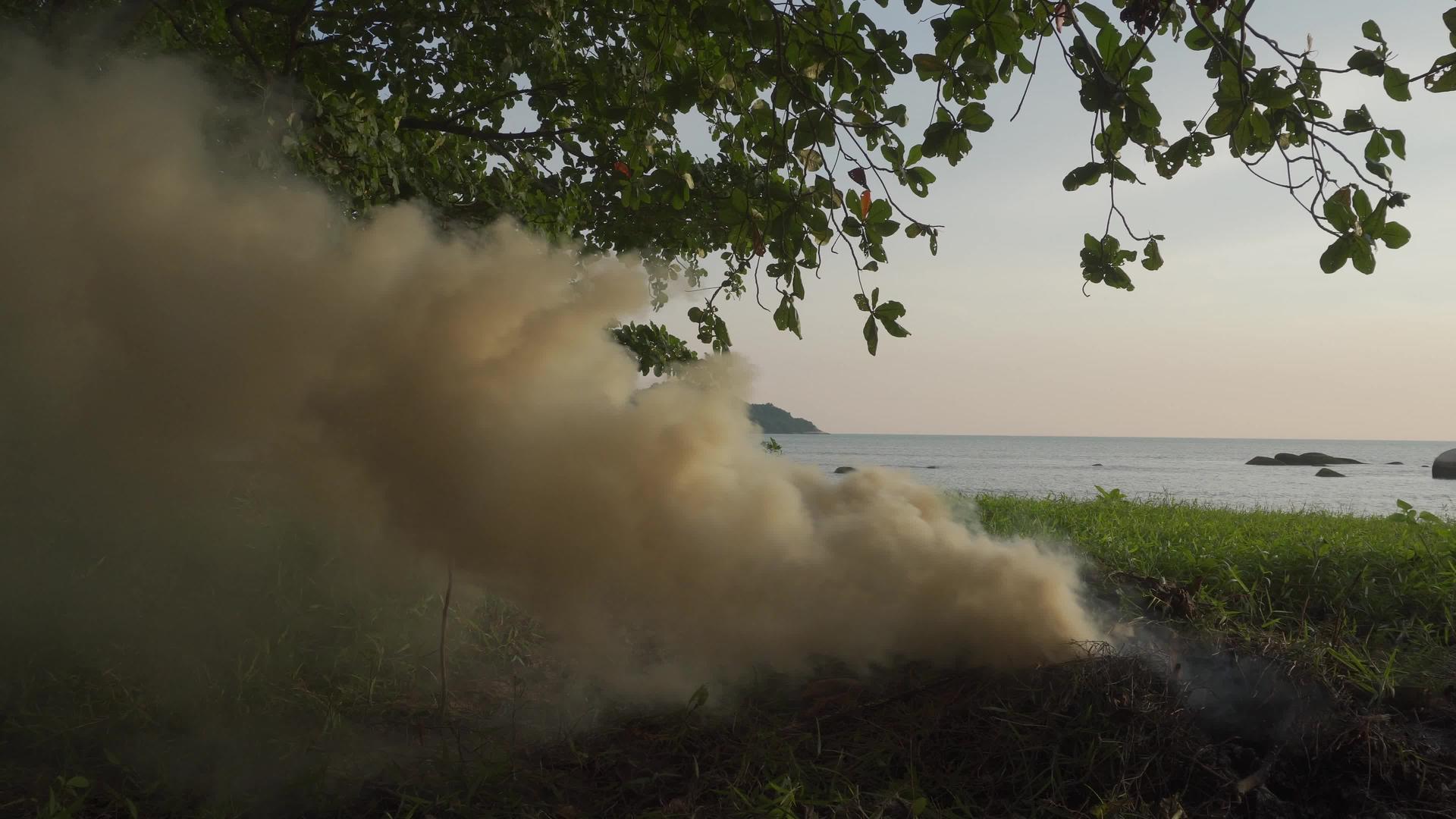 在海上露天焚烧垃圾视频的预览图