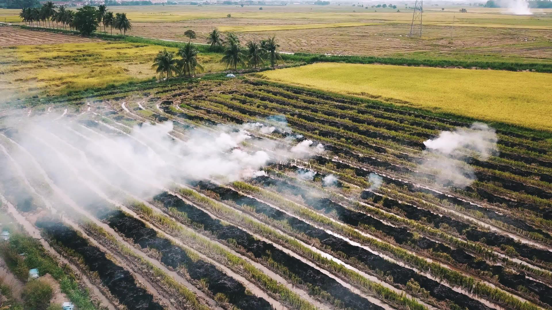 露天稻田火灾造成空气污染视频的预览图
