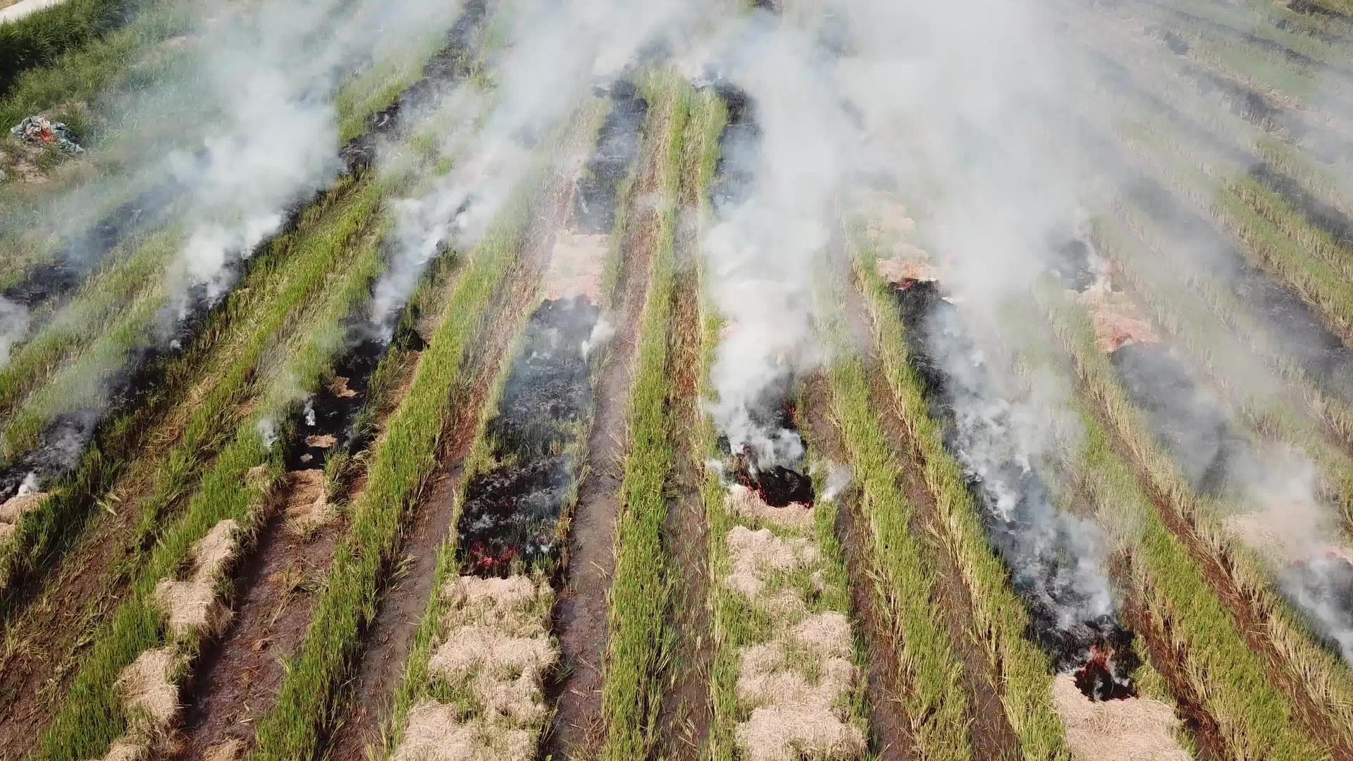 检查稻田露天火灾产生的顶部烟雾排放视频的预览图