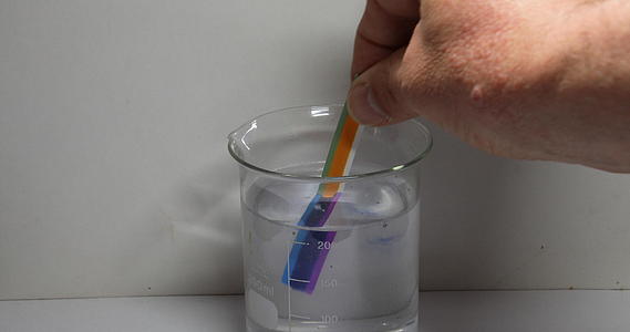 将测试条浸泡在烧杯的溶液中检测变色视频的预览图