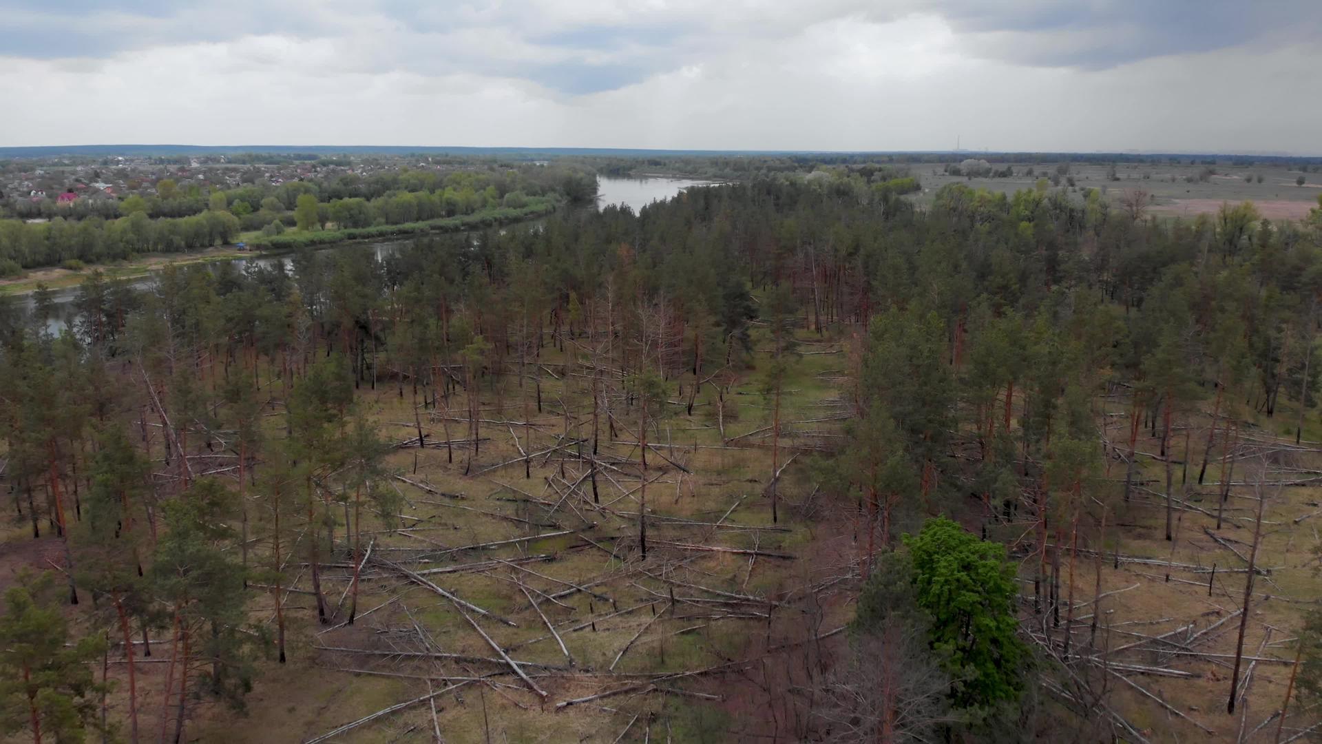 森林火灾或洪水后在德斯纳河岸Uraine空投的Fesna视频的预览图