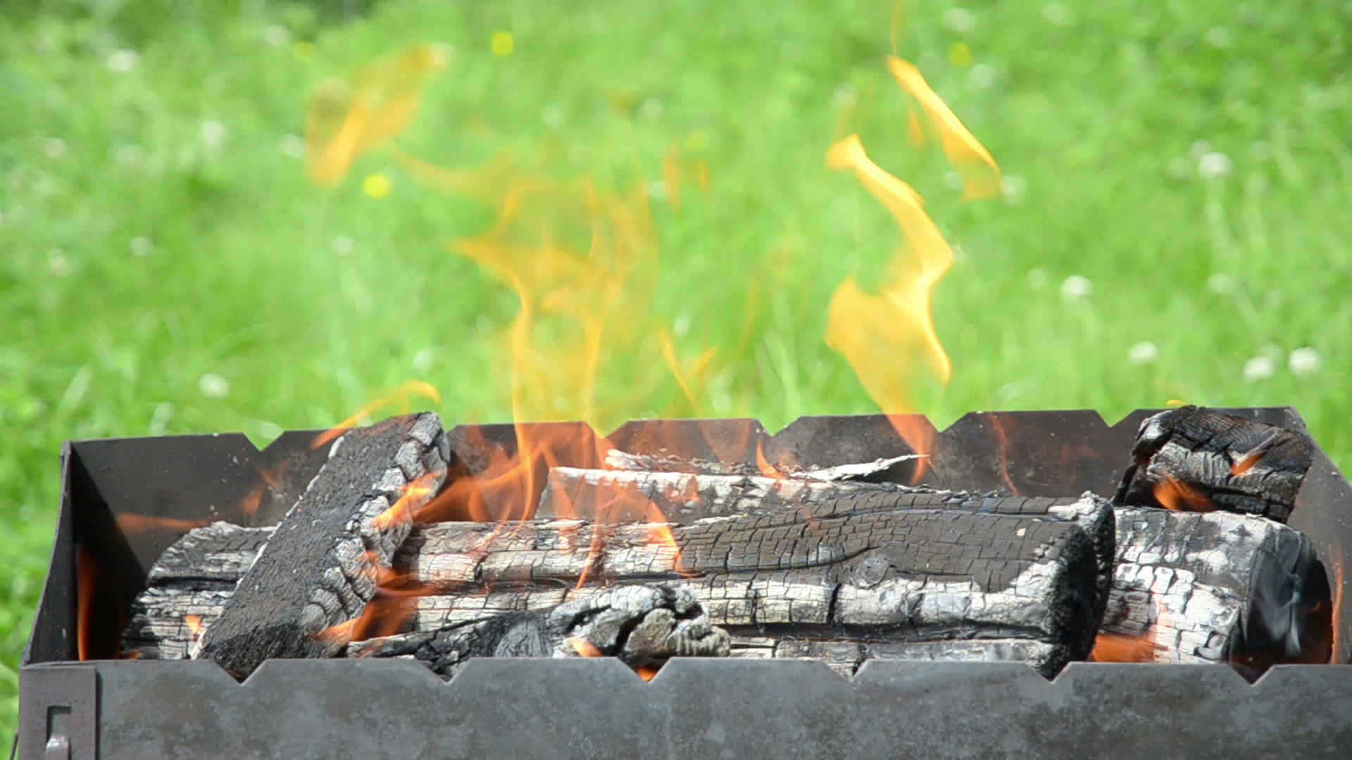 在花园烧烤中火舌和舌和木柴视频的预览图