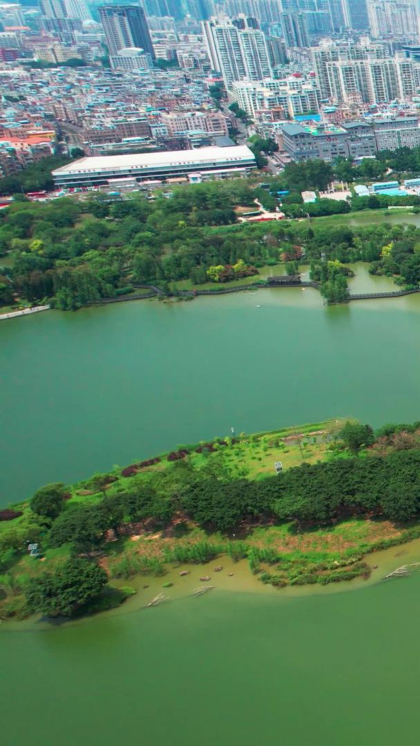 广州海珠区海珠湖公园水域湖泊广州旅游视频的预览图