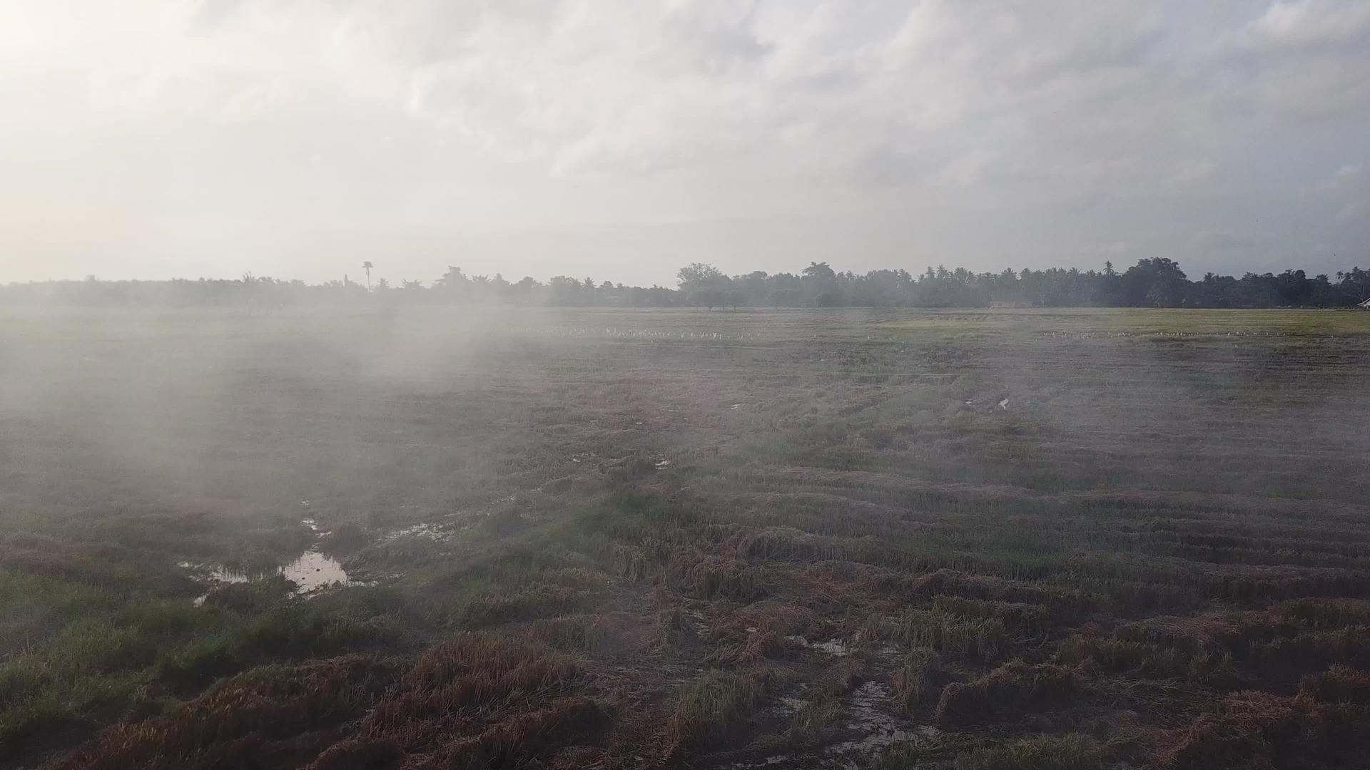 夜间在Malaysia在露天焚烧稻田视频的预览图