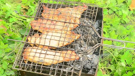 美国猪肉牛排在烧烤炉上闪着火焰视频的预览图
