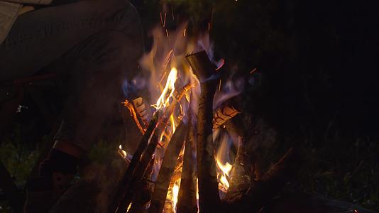 森林里的火视频的预览图