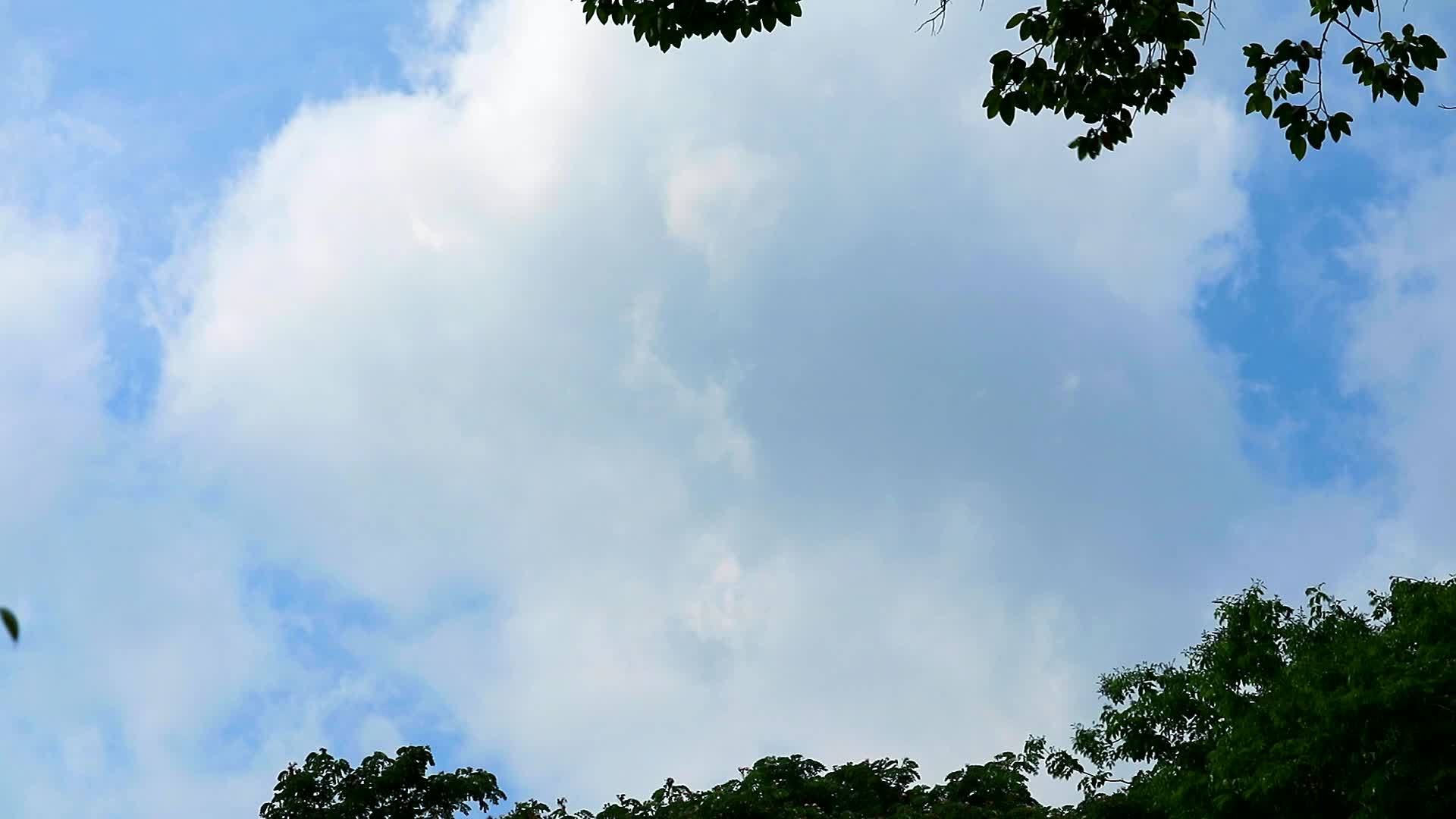 美丽的蓝天和白云在夏天慢慢地在树上移动视频的预览图