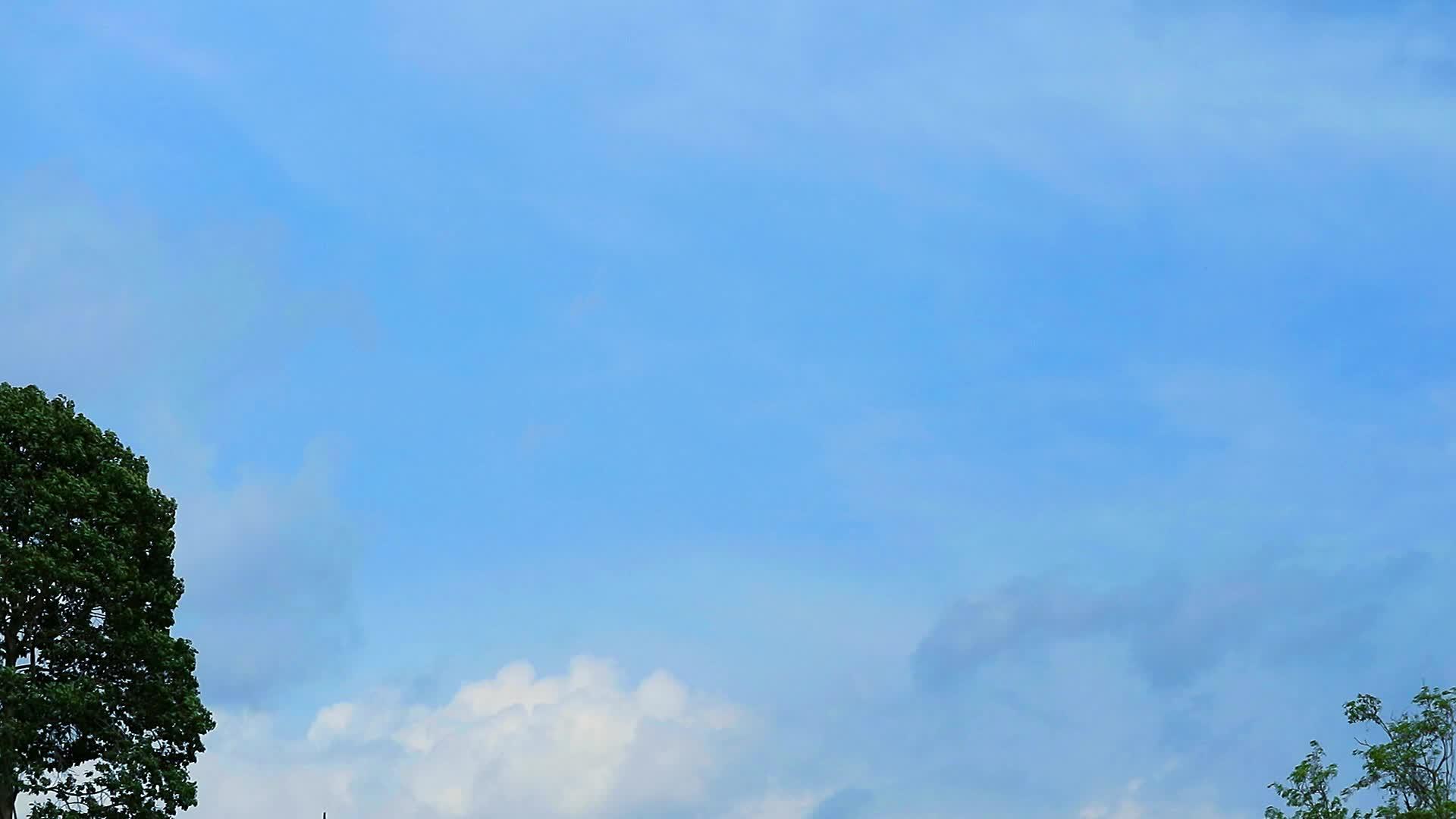 美丽的蓝天白云在夏天慢慢地漂浮在树上视频的预览图