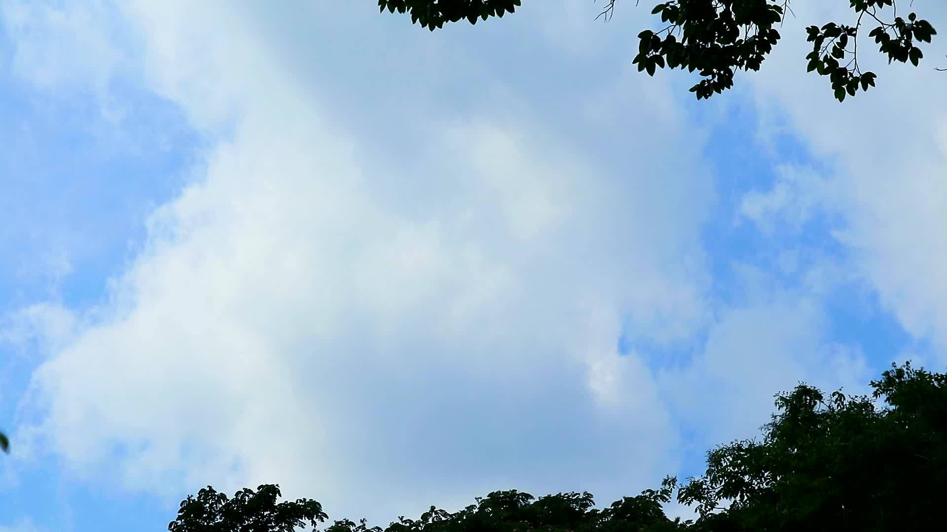 美丽的蓝天白云在夏天慢慢地在树上飘动视频的预览图