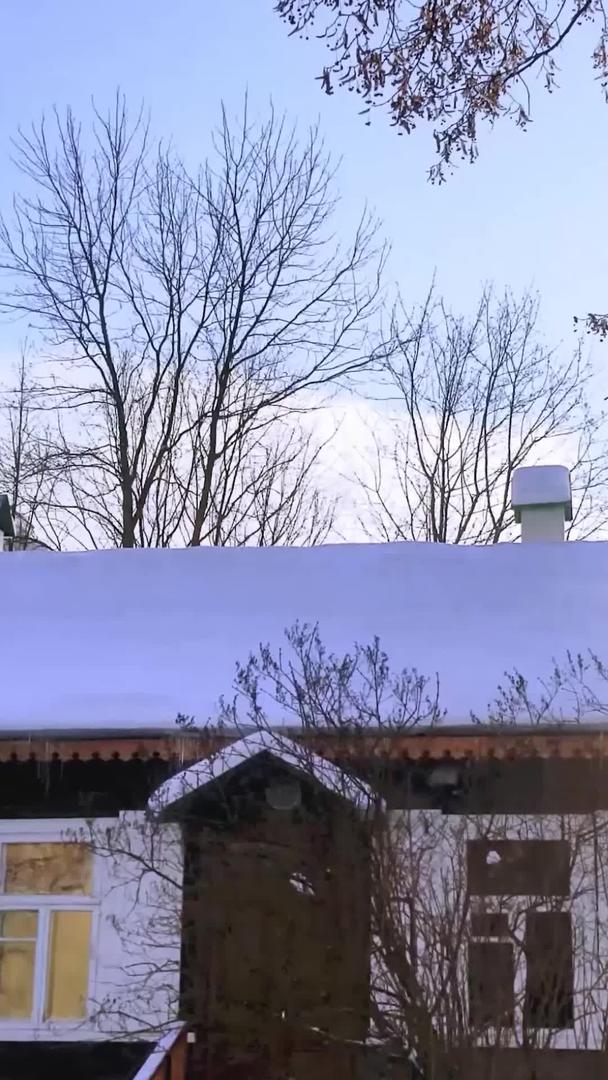 立冬初雪清晨屋檐厚压积雪视频的预览图