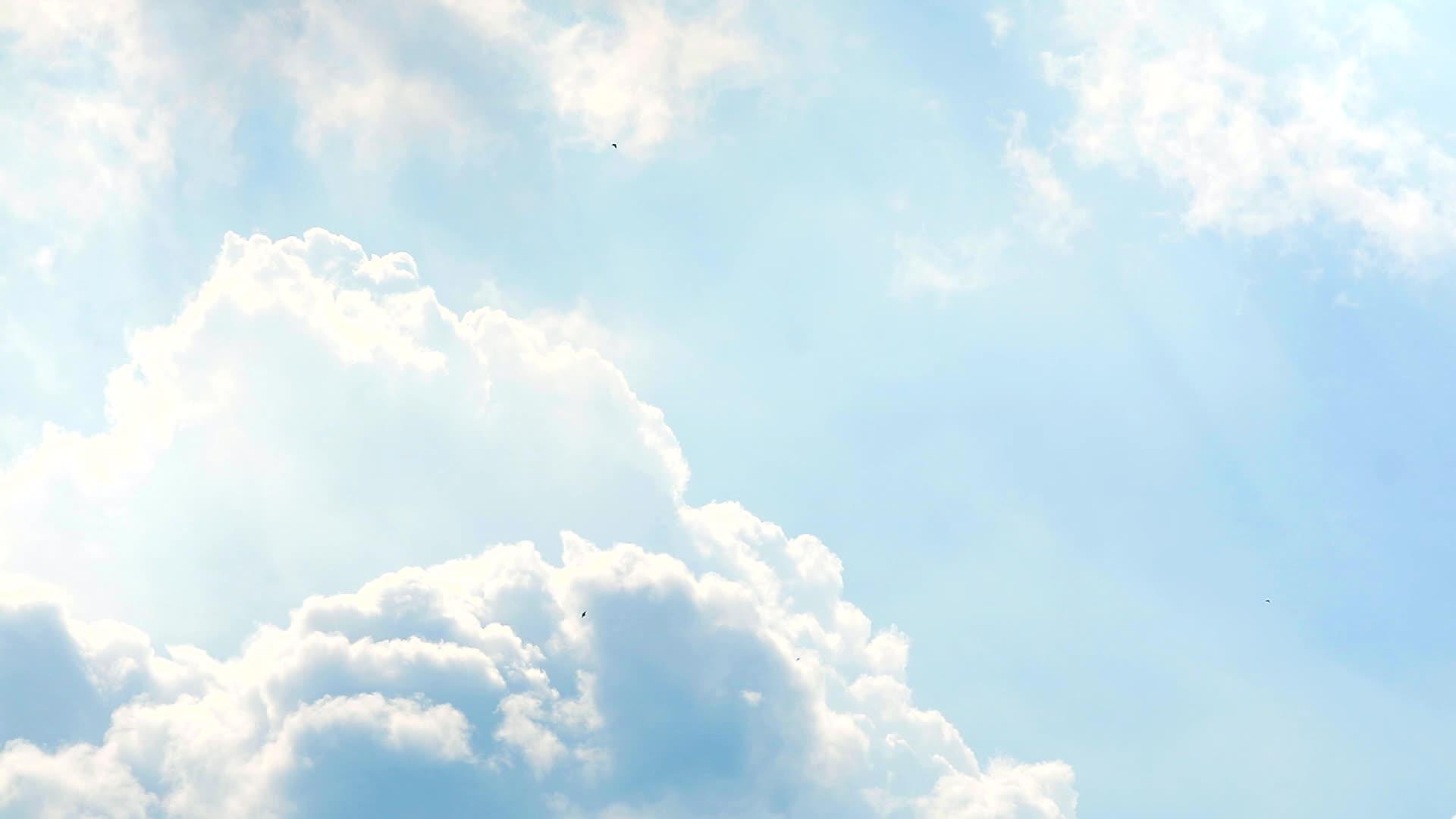 灰色柔软的云和浅蓝色的天空以及在空中飞翔的鸟类视频的预览图
