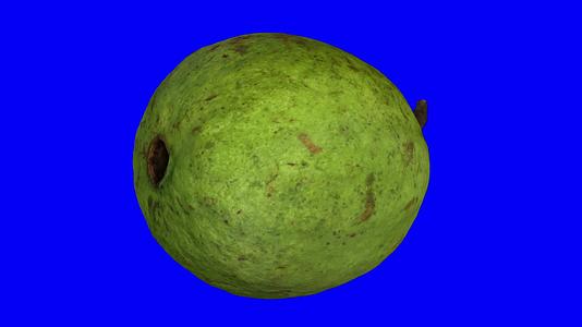 在蓝色背景上旋转guava02视频的预览图