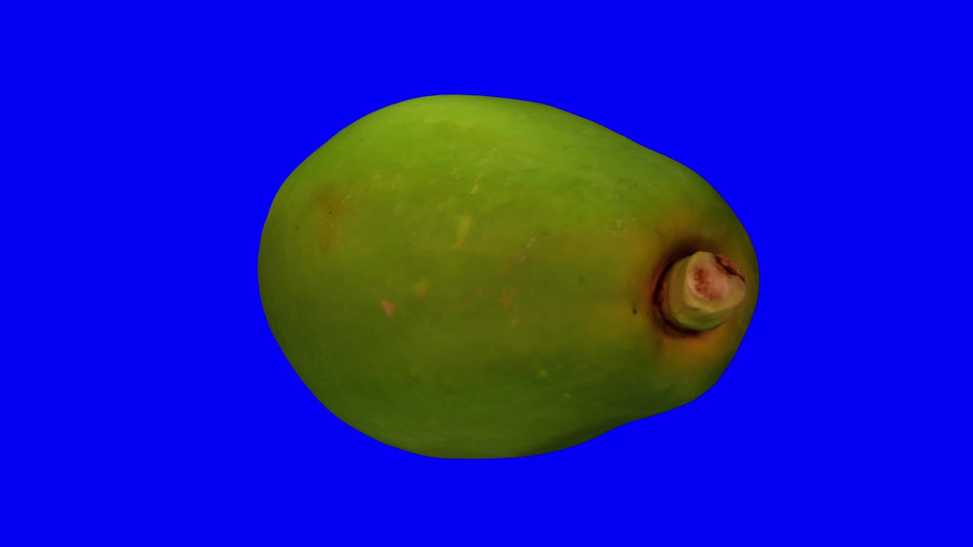 蓝色背景的绿色木瓜旋转03a视频的预览图