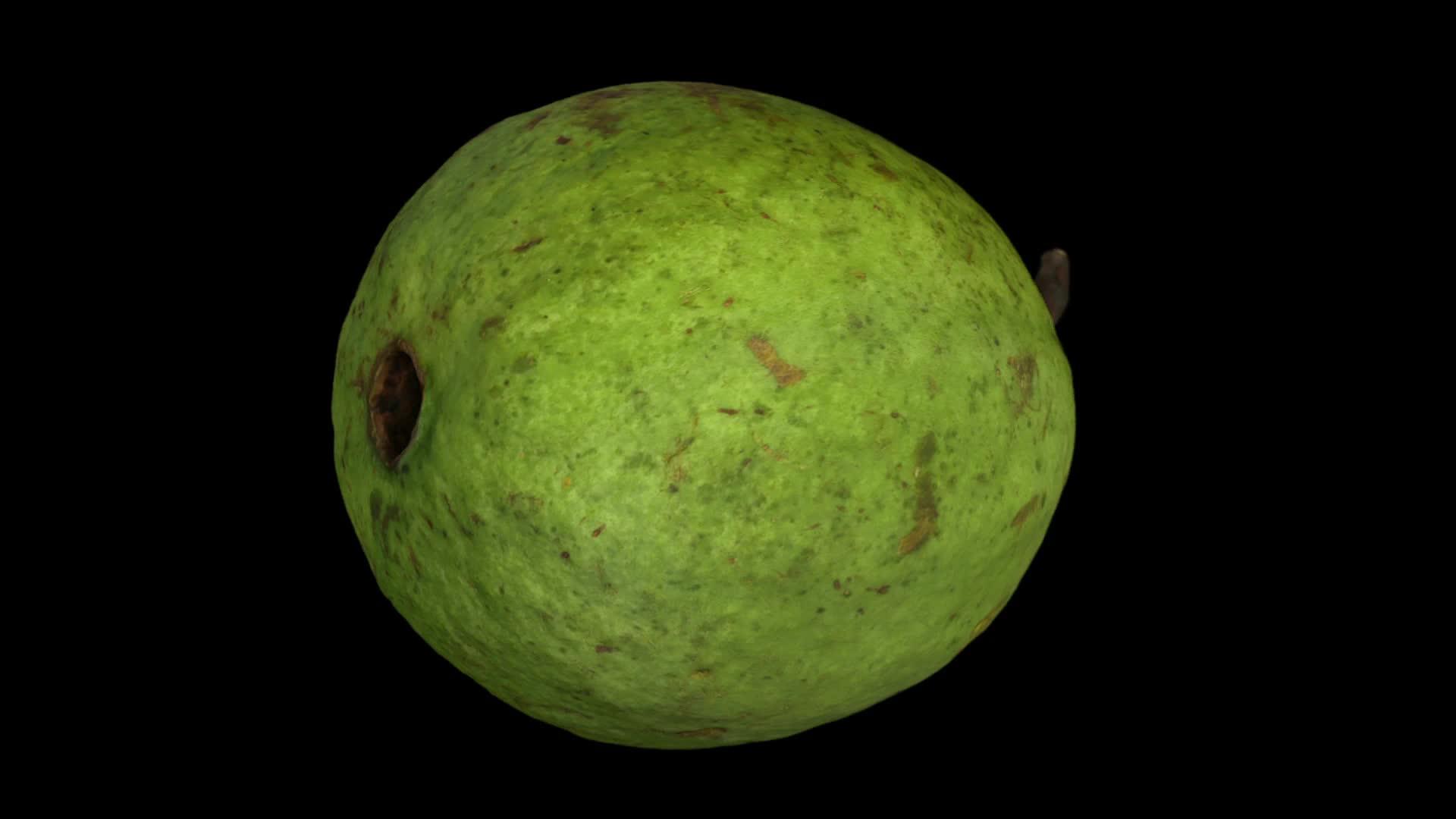 在黑色背景上旋转guava02视频的预览图