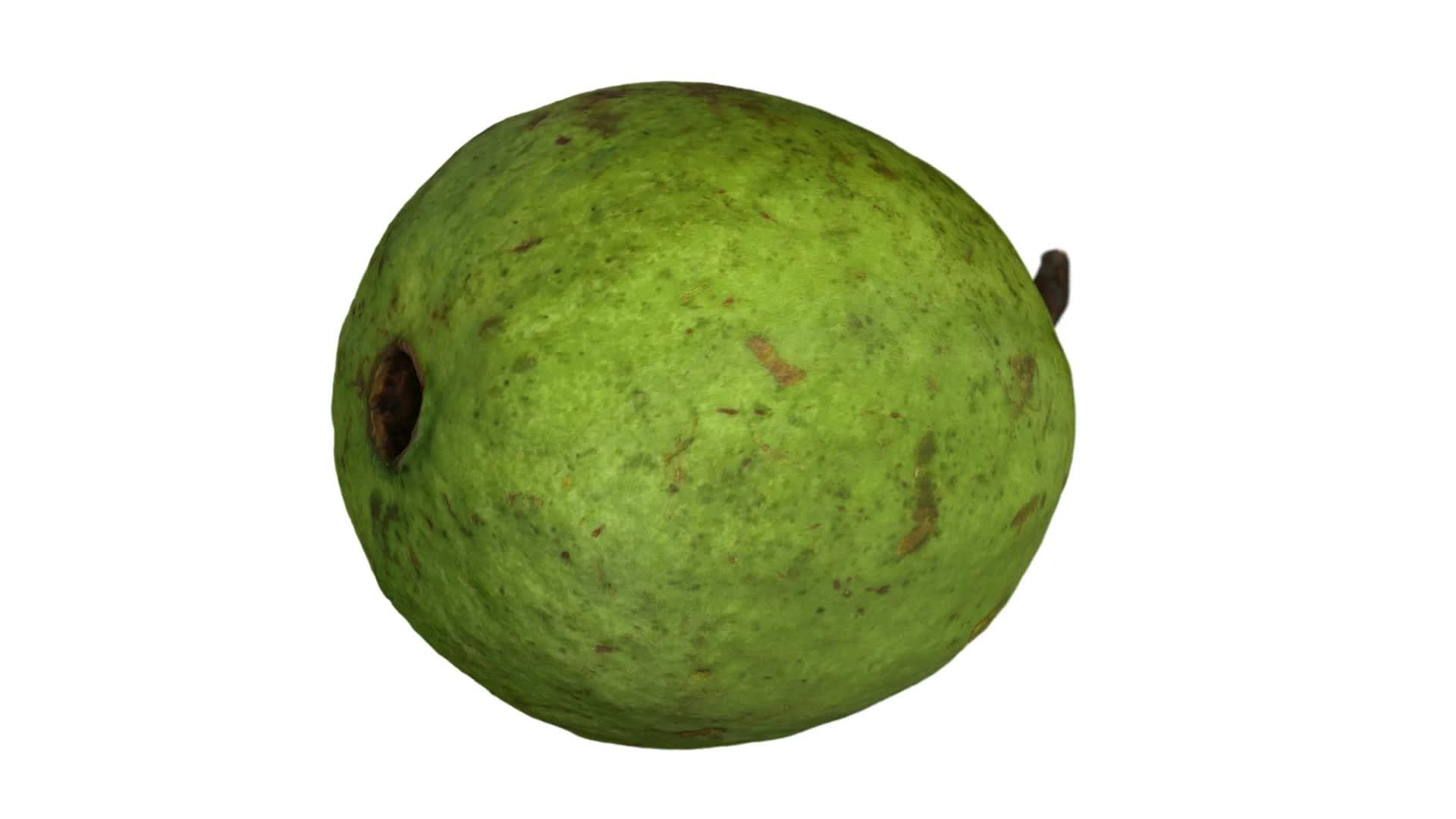 在白色背景上旋转guava02视频的预览图