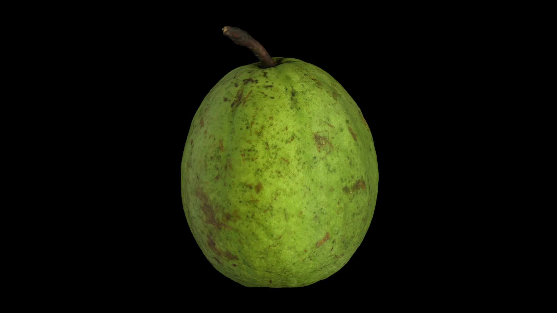 在黑色背景1上旋转guava视频的预览图